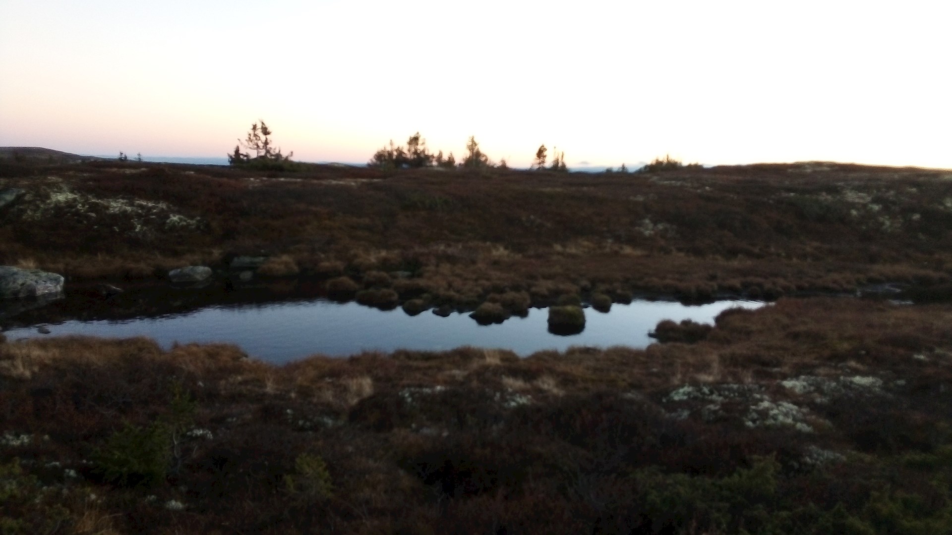 First Mission to Norway for the Environment Programme