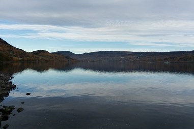 Environment