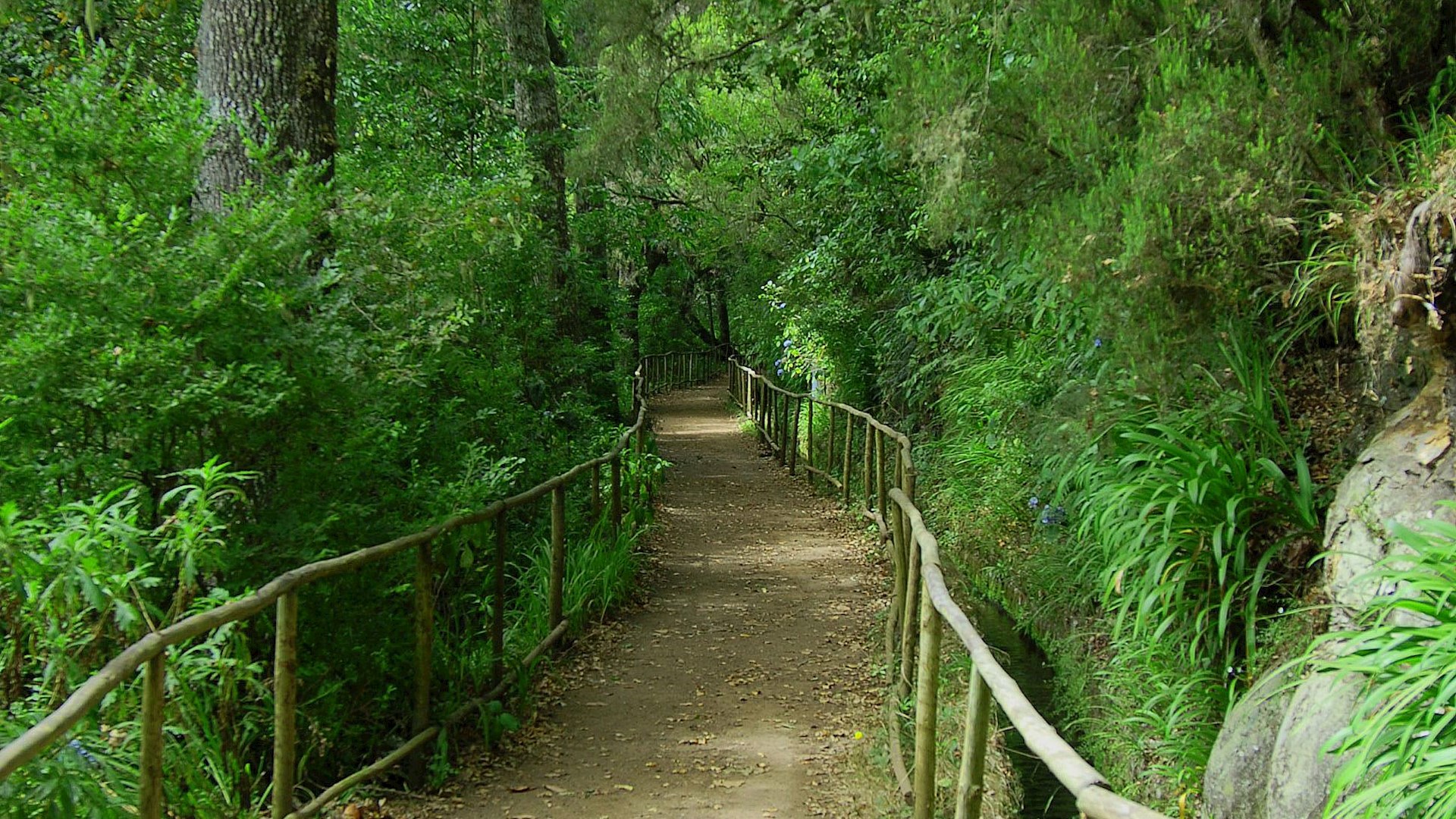 Lançamento do Programa Ambiente