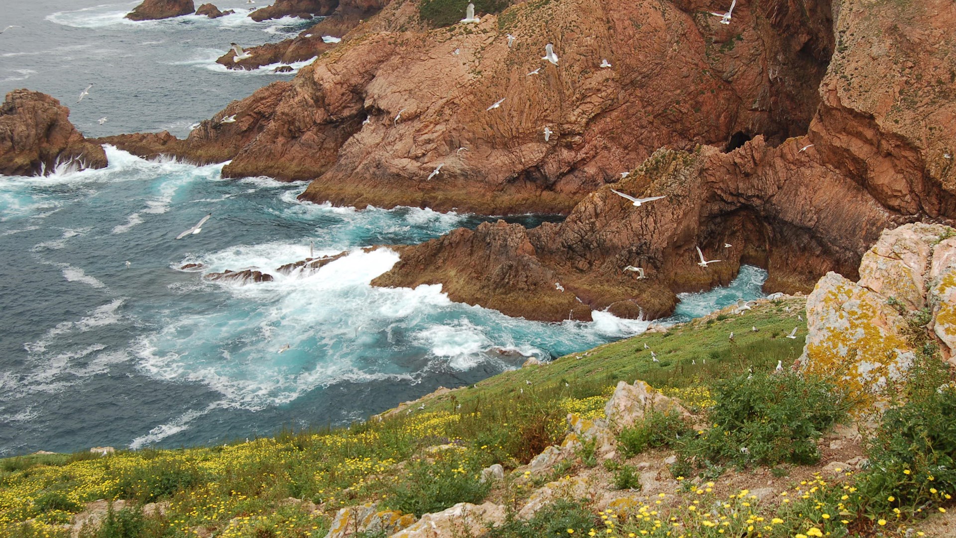 Programa Ambiente: Lançamento dos primeiros avisos para apresentação de candidaturas