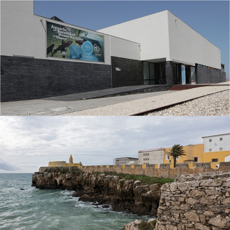 Região Centro recebe sessões de esclarecimentos para o Património Cultural Costeiro