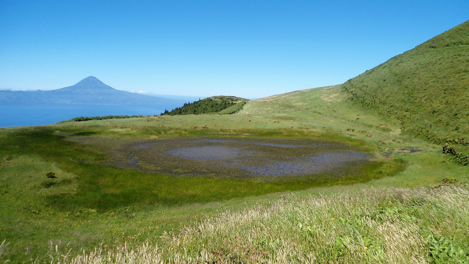 Projetos para o fomento de modelos de desenvolvimento sustentável