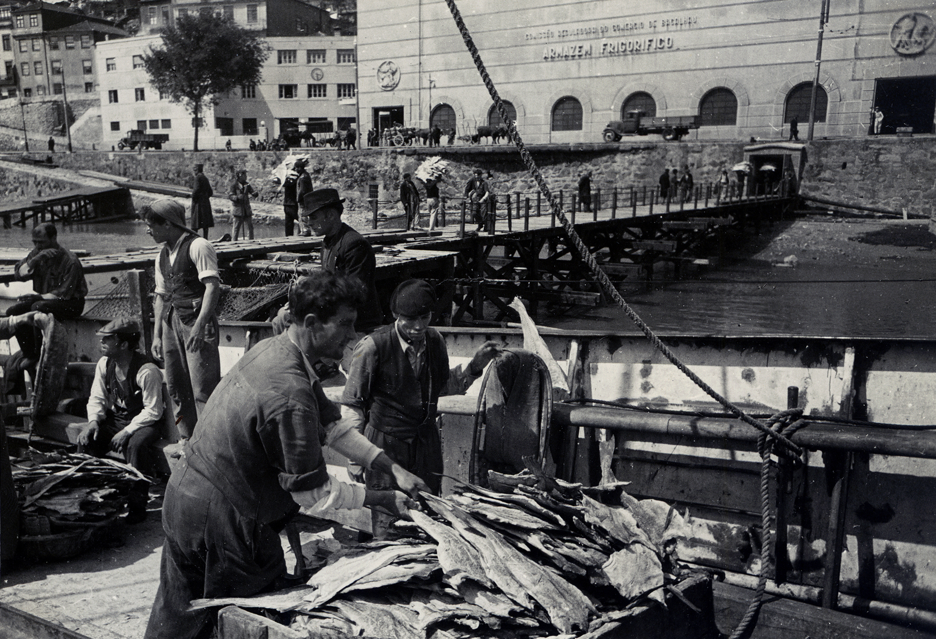 Arquitetura do bacalhau em debate