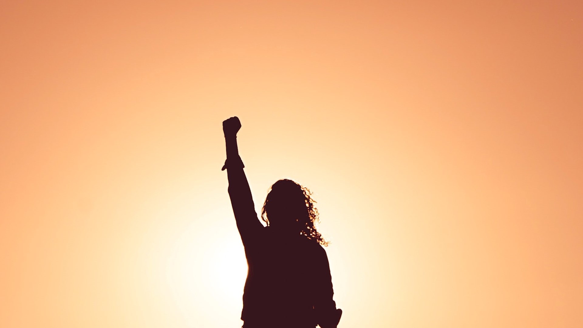  International ViViDo Seminar kick-off meeting at a glance