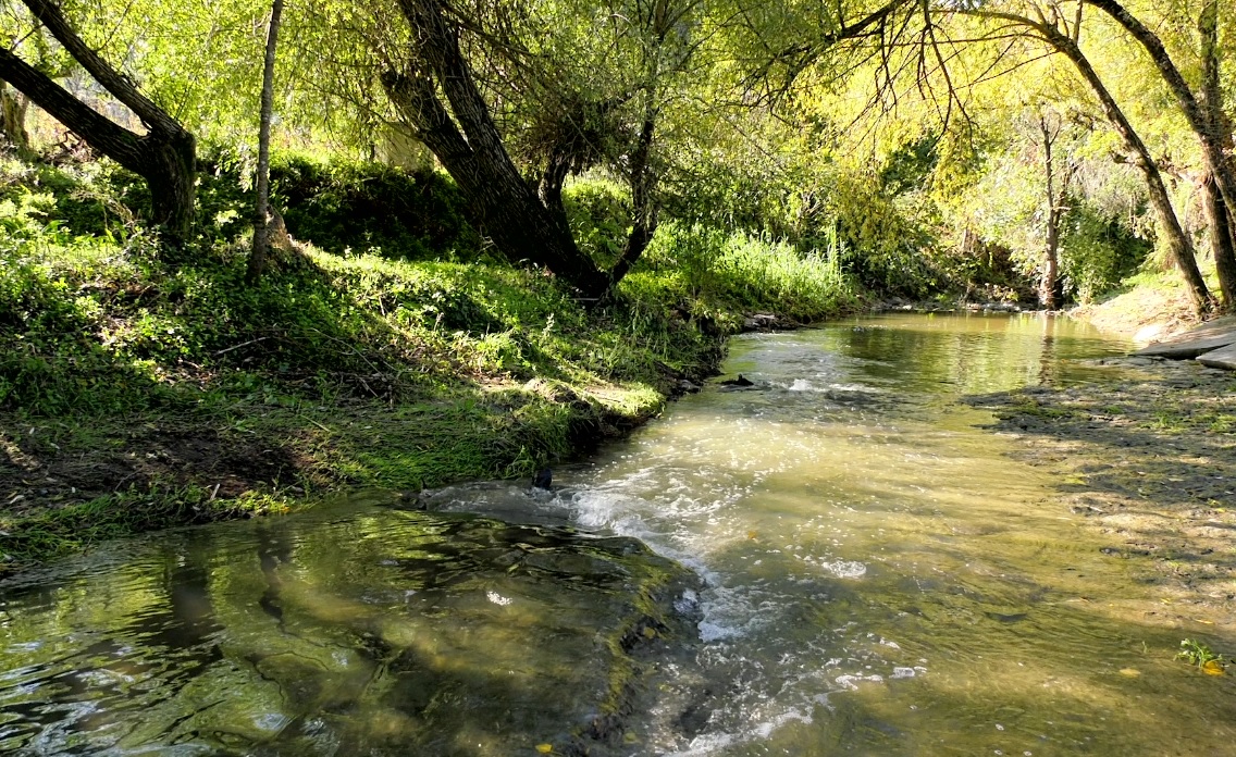 Evento de Apresentação dos Projetos EEA Grants para Adaptação Local