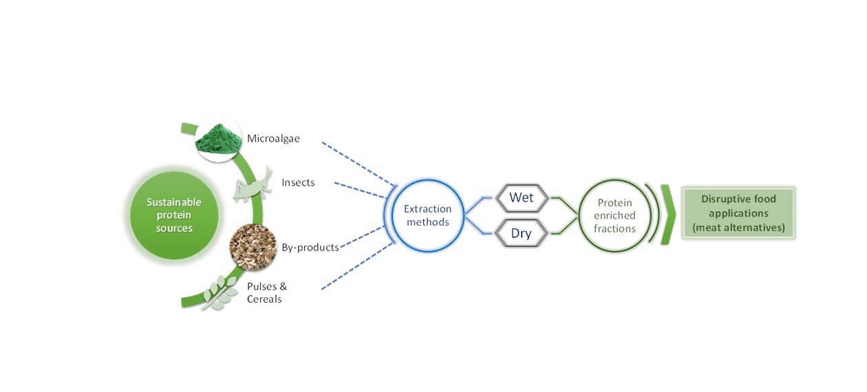 Fontes de proteína alternativas no desenvolvimento de novos produtos alimentares