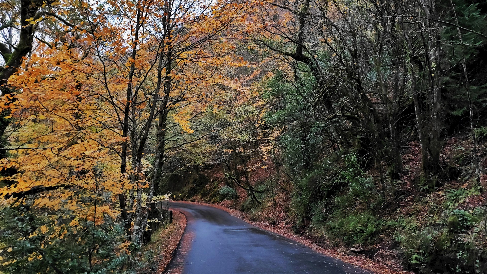Programa Ambiente financia a adaptação às alterações climáticas