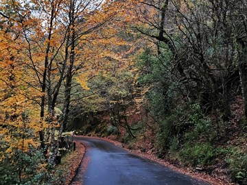 Programa Ambiente financia a adaptação às alterações climáticas