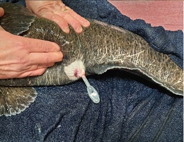 PHOTO 2021 03 14 20 07 37