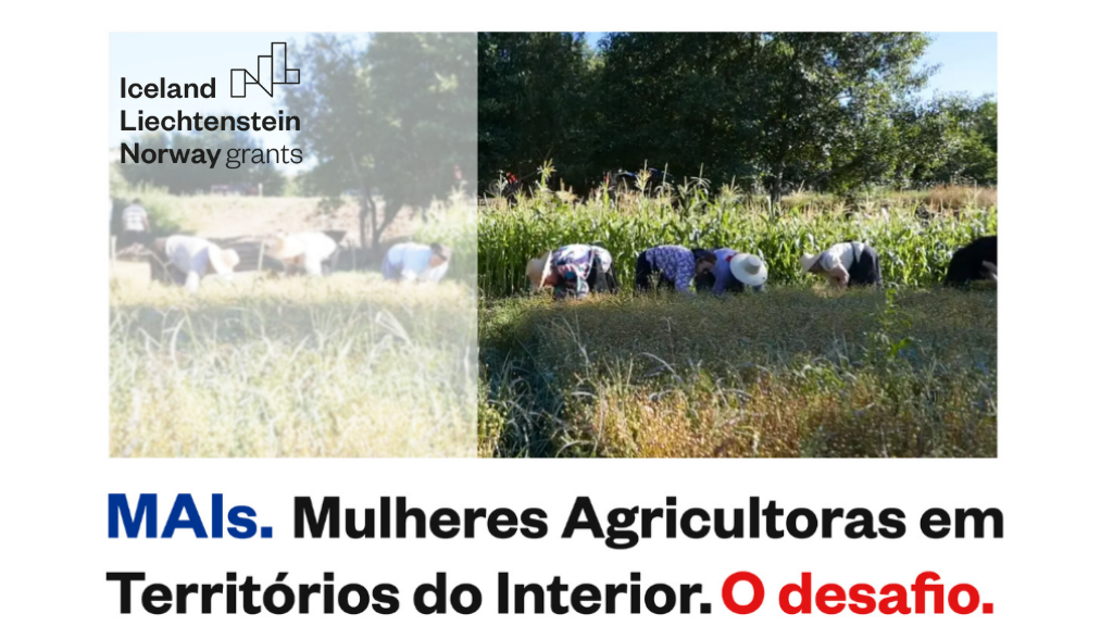 Mais Seminário C