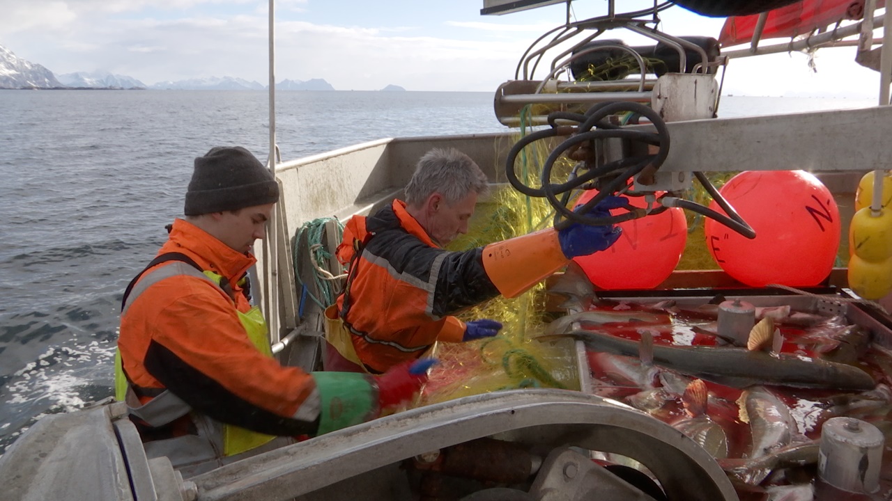 40.ª Edição do Festival Internacional de Cinema Etnográfico NAFA decorre entre 29 de setembro e 2 de outubro  