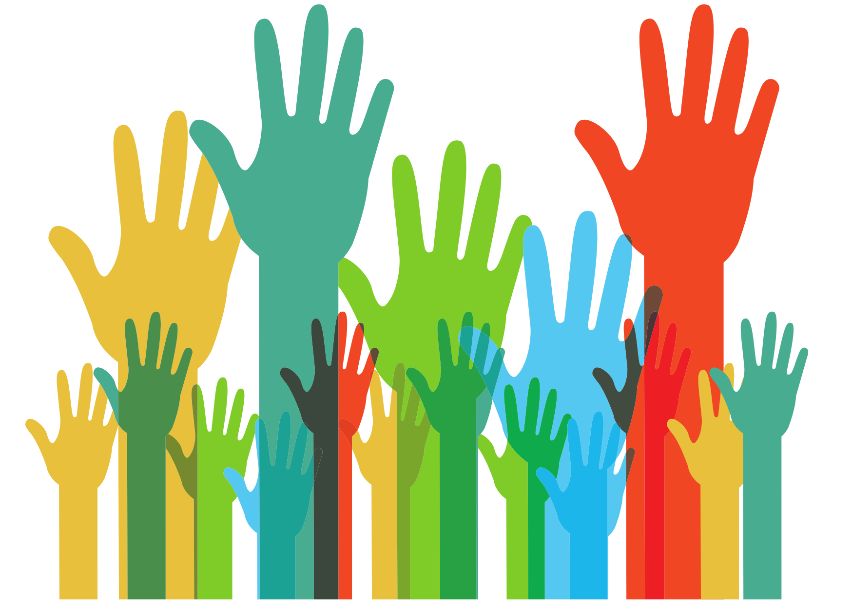 PLAAC - Arrábida: segunda ação de capacitação e sensibilização de organizações locais