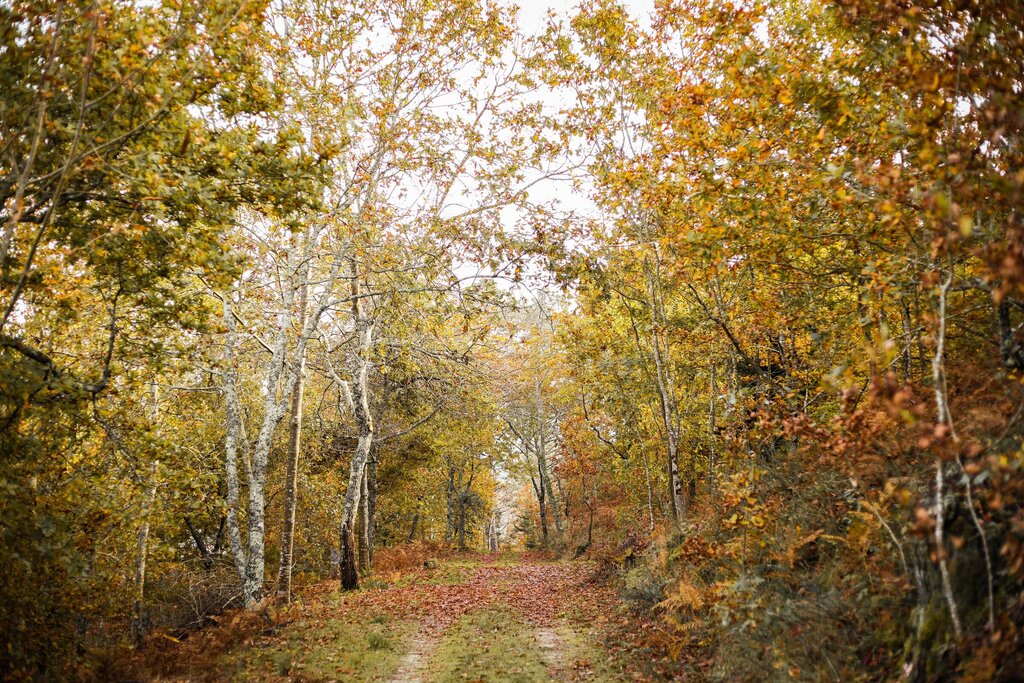 Future Planning: do discurso ambiental à prática