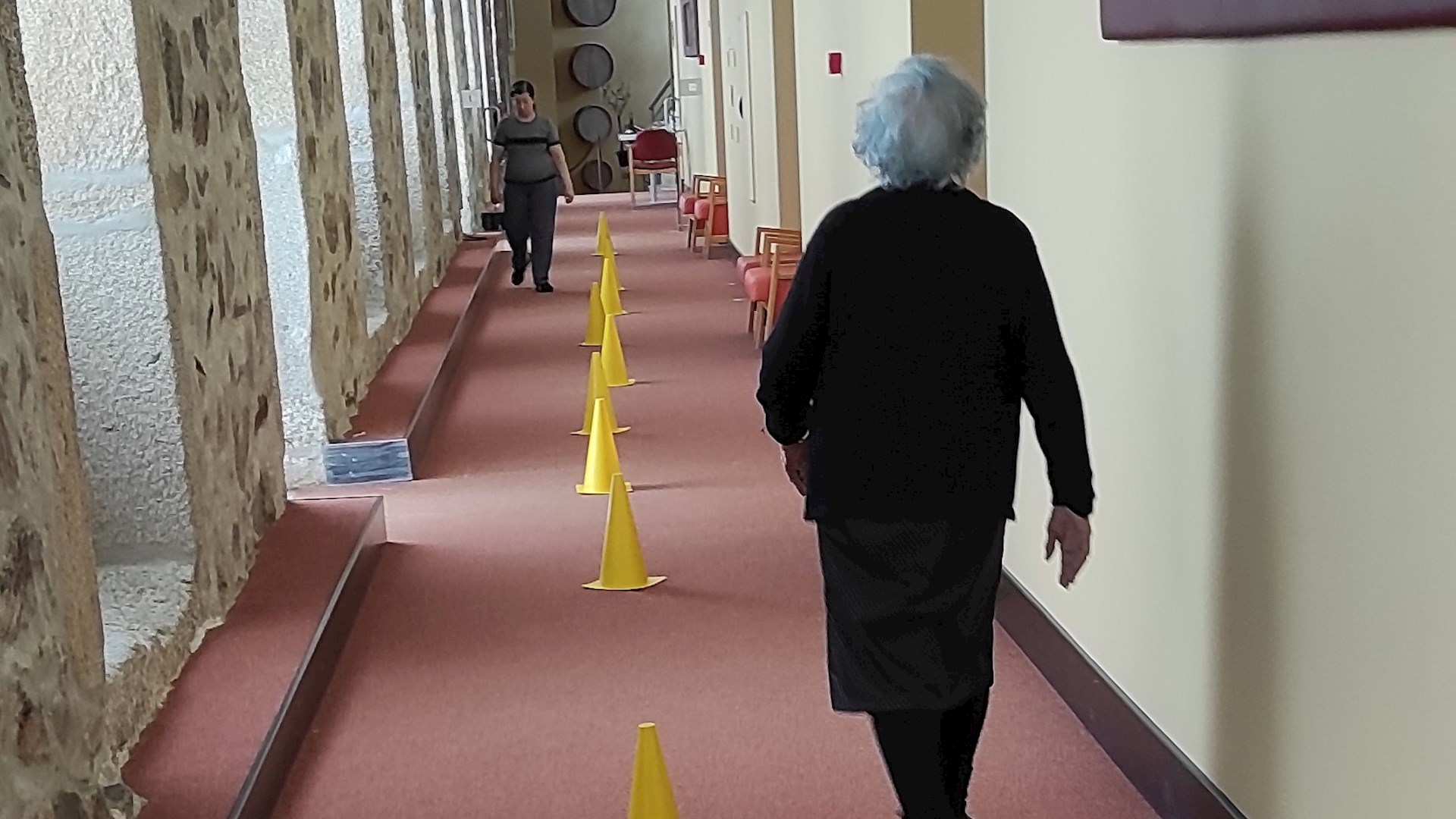 STOP-AGEING - Counteract Functional Decline Through Velocity-Controlled Strength Training