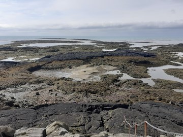 Adaptchange Initiative studies adaptation mechanisms to environmental changes