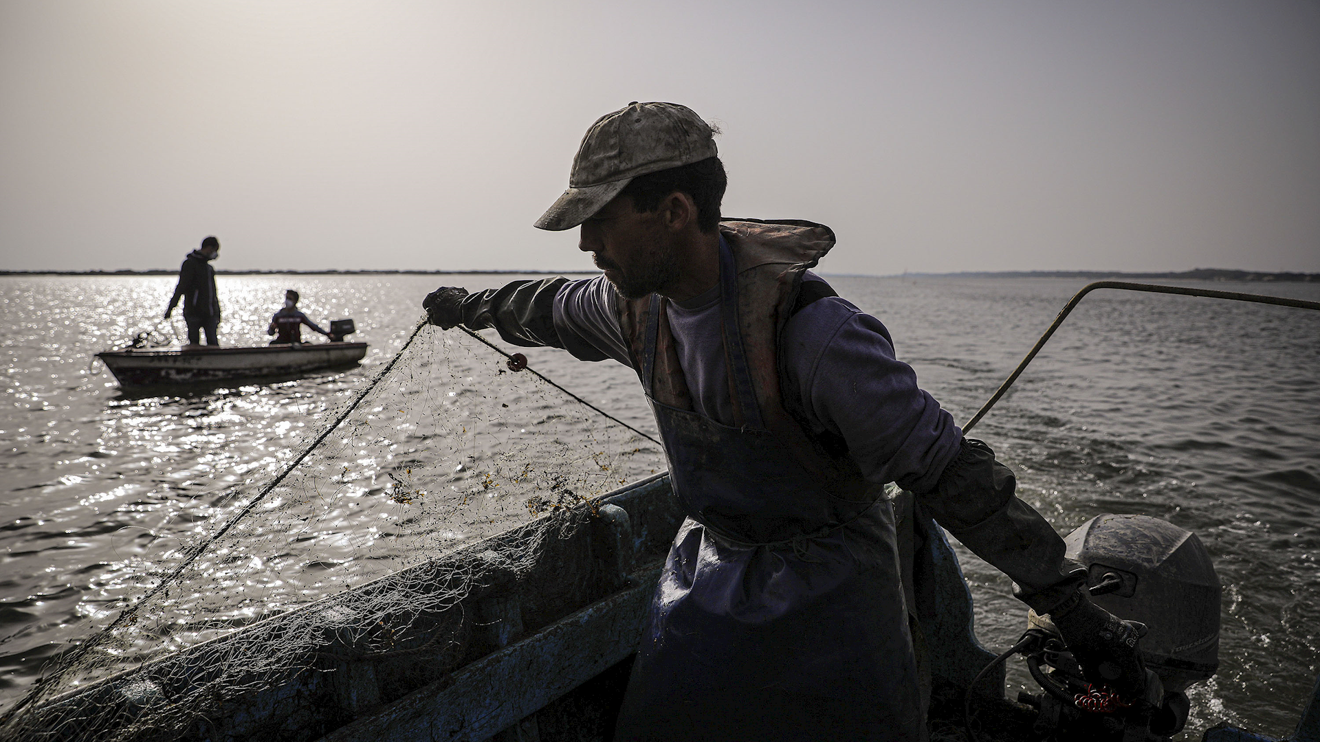 Todo O Peixe É Nobre 