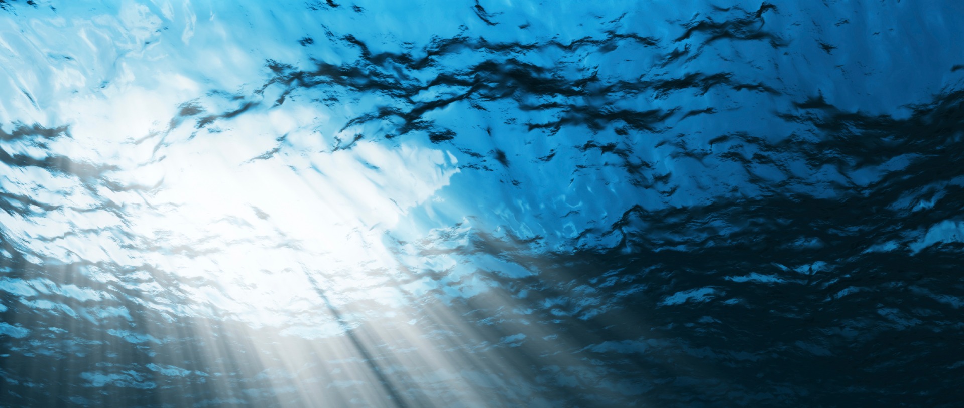 BlueBio Roadshow - BlueBio Alliance - The Portuguese Marine Bioresources Network