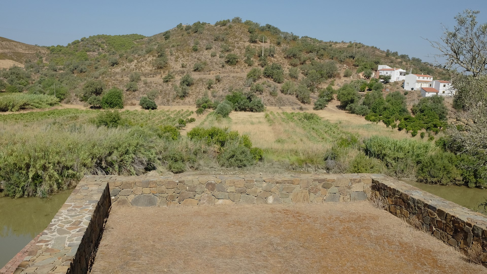 PARTICULAR UNIVERSAL