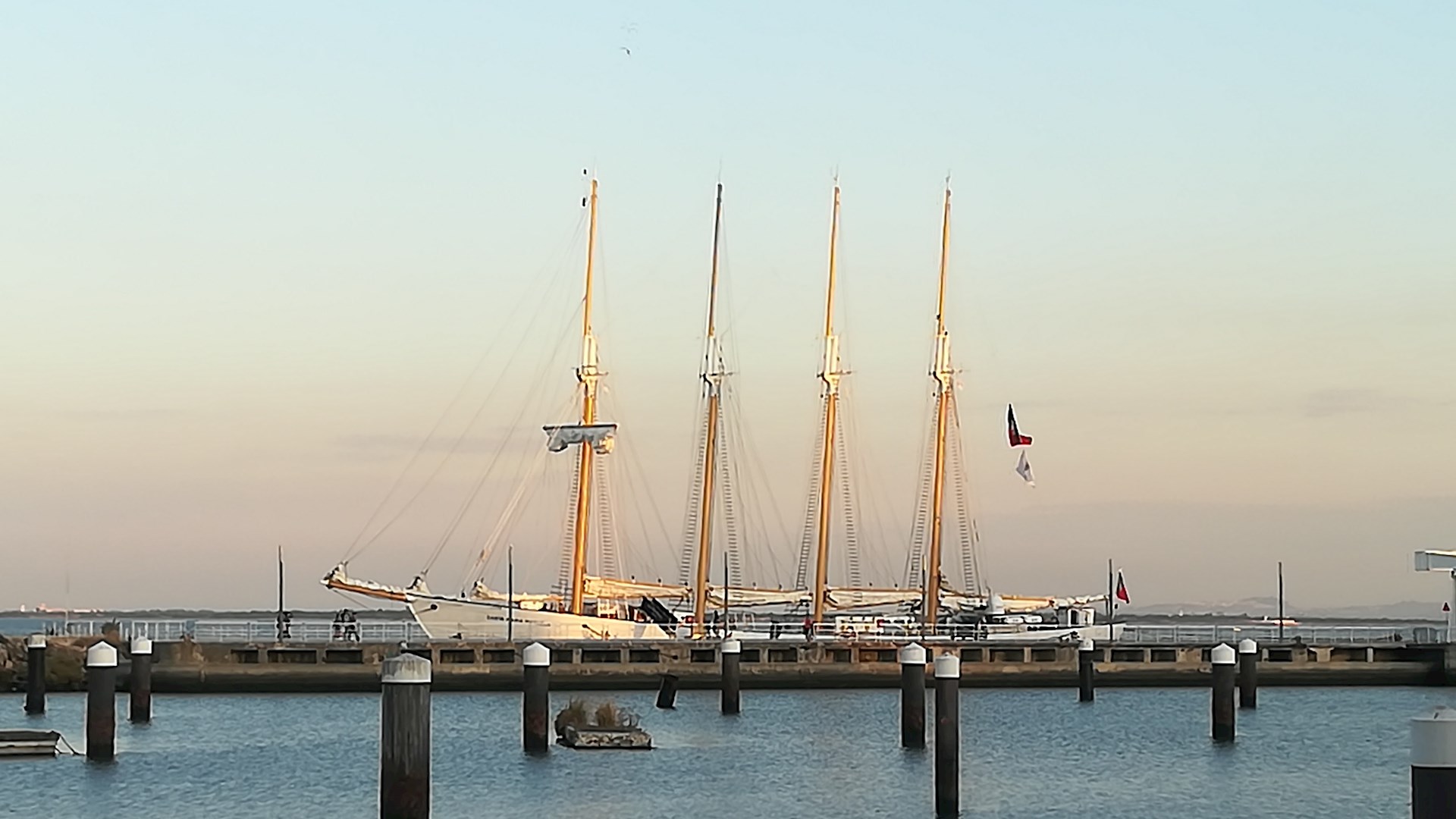 Era uma vez um peixe chamado Bacalhau... 