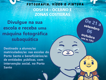 Concurso amador de fotografia, vídeo e pintura na ilha de Porto Santo