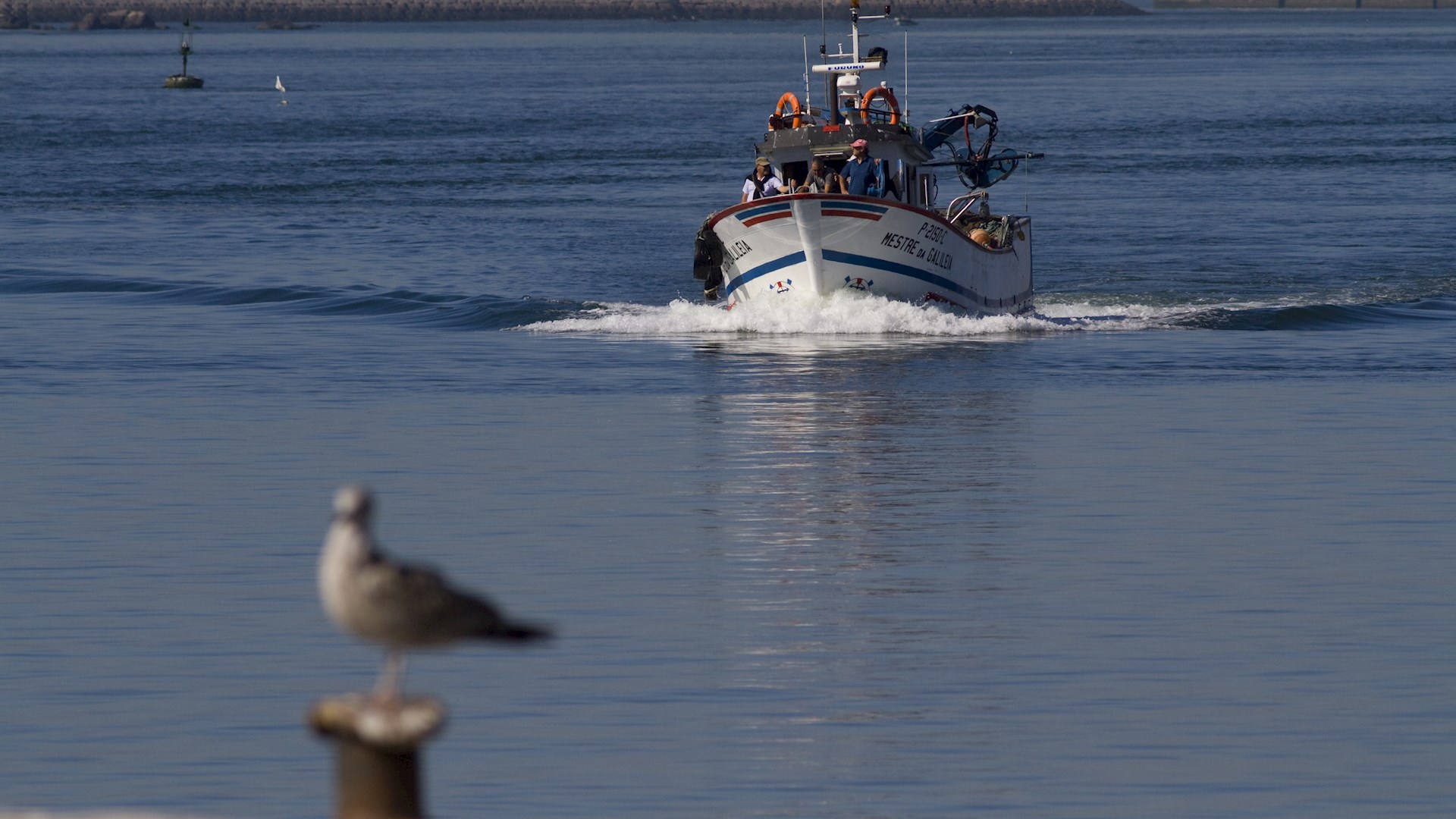 Primeira Comissão de Acompanhamento do projeto Afurada Living Lab