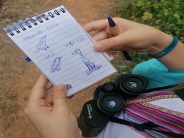 BioBlitz