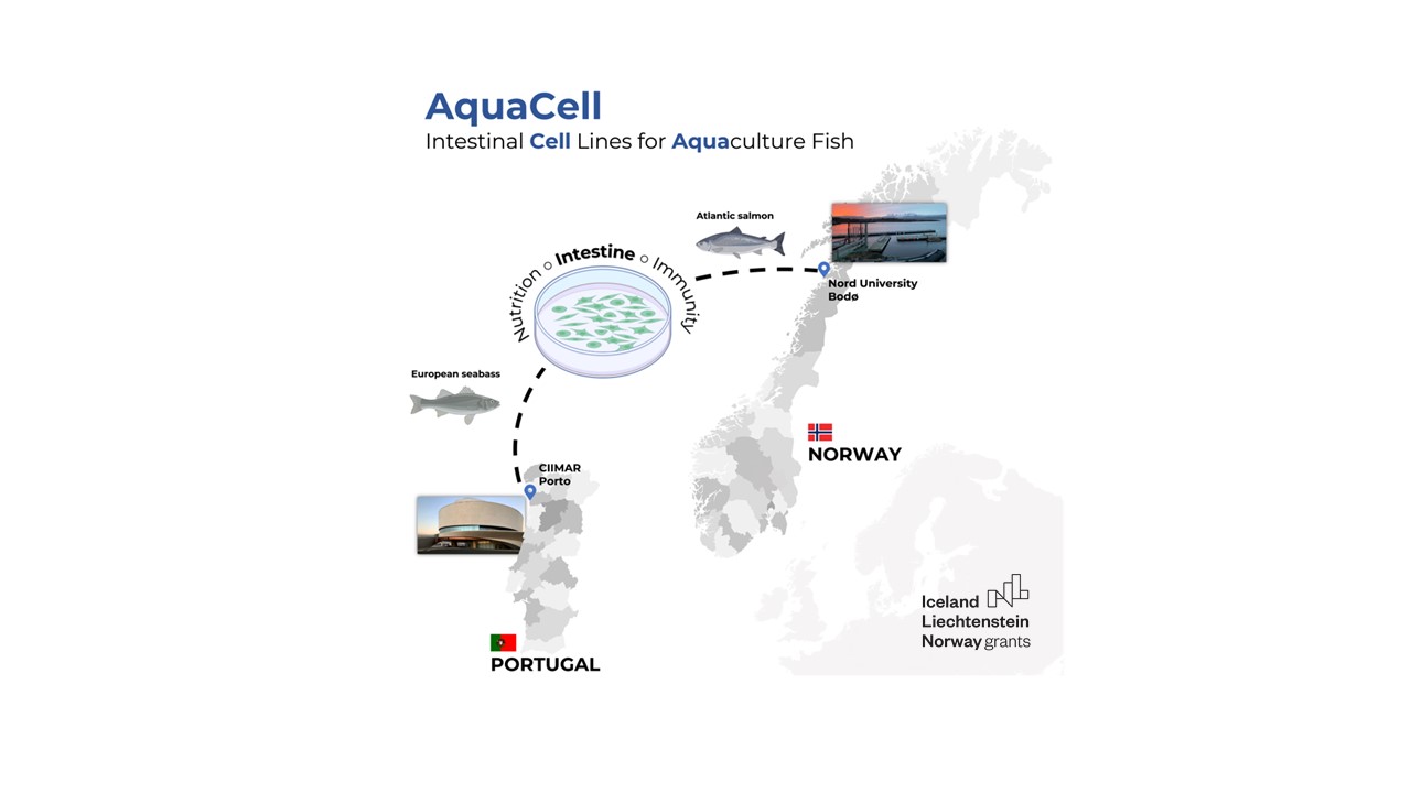 AquaCell – intestinal CELL lines for AQUAculture fish