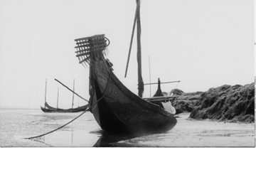 Projeto FILMar celebra dois anos de implementação