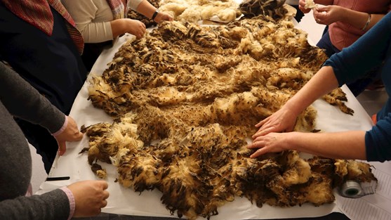 Participação da equipa portuguesa no workshop de análise e tratamento da lã, na fábrica Selbu Spinneri AS.