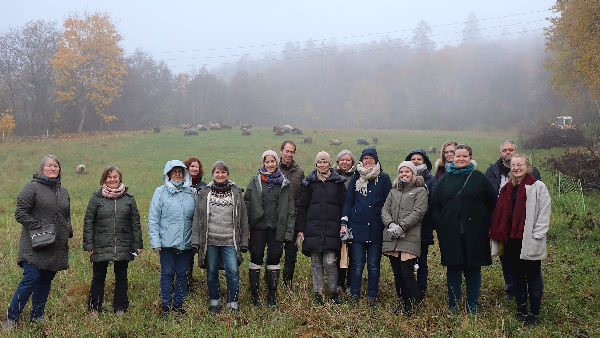 Na procura das tradições norueguesas de lã