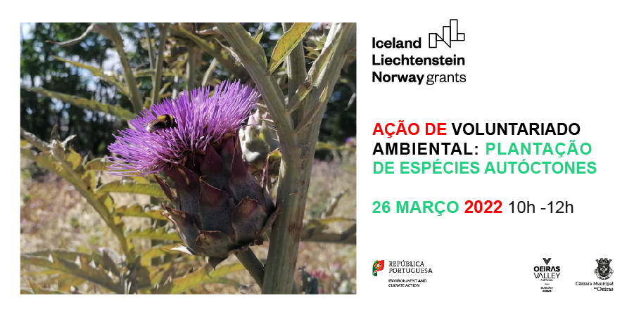 Plantação de Espécies Autóctones no Âmbito do Projeto Mais Polinizadores, Mais Biodiversidade no Município de Oeiras