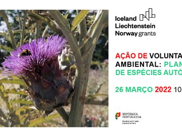 Plantação de Espécies Autóctones no Âmbito do Projeto Mais Polinizadores, Mais Biodiversidade no Município de Oeiras