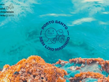 Um Brinde ao Mar