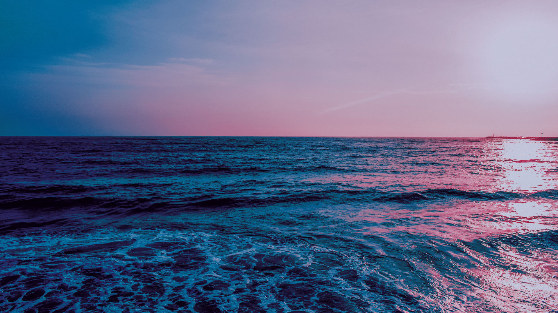 MSTS Education Programme