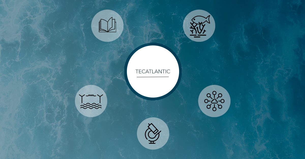 TECATLANTIC 