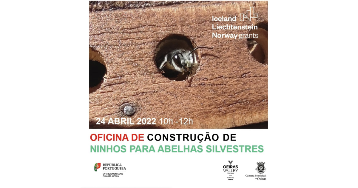 Oficina de Construção de ninhos para abelhas silvestres