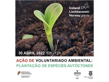 Ação de plantação de espécies autóctones