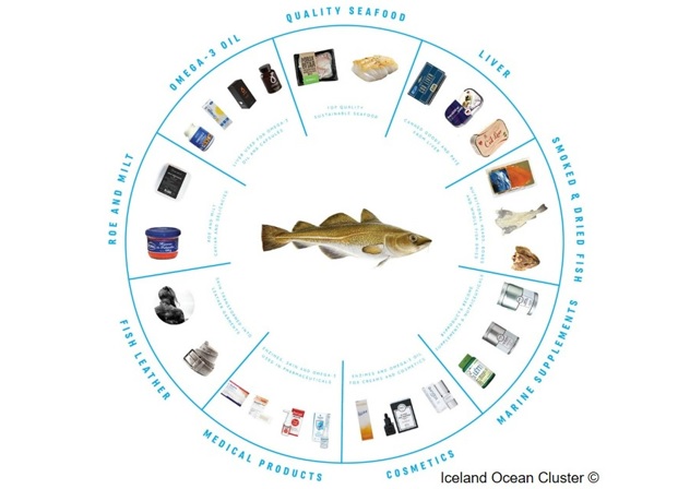 MicSeaOnMed: da indústria pesqueira até aos setores da Saúde e Bem-Estar