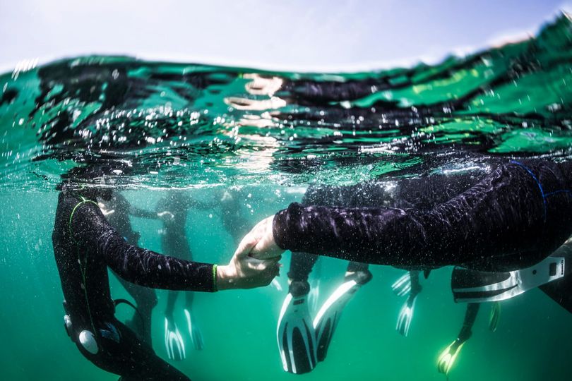 Programa Atlantis: iniciação ao mundo aquático e conexão com o Oceano