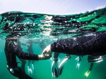 Programa Atlantis: iniciação ao mundo aquático e conexão com o Oceano