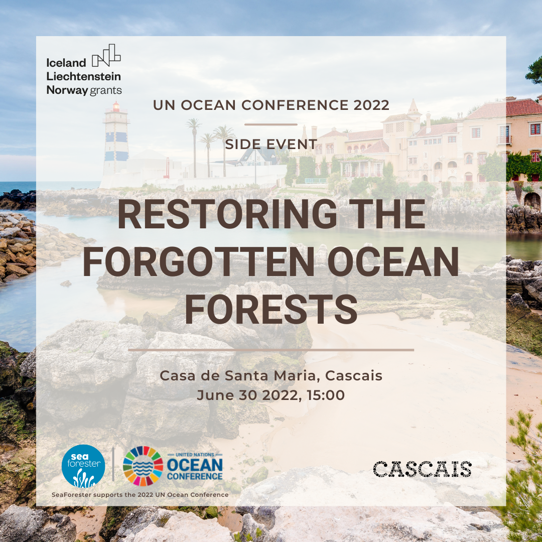 Restoring the Forgotten Ocean Forests