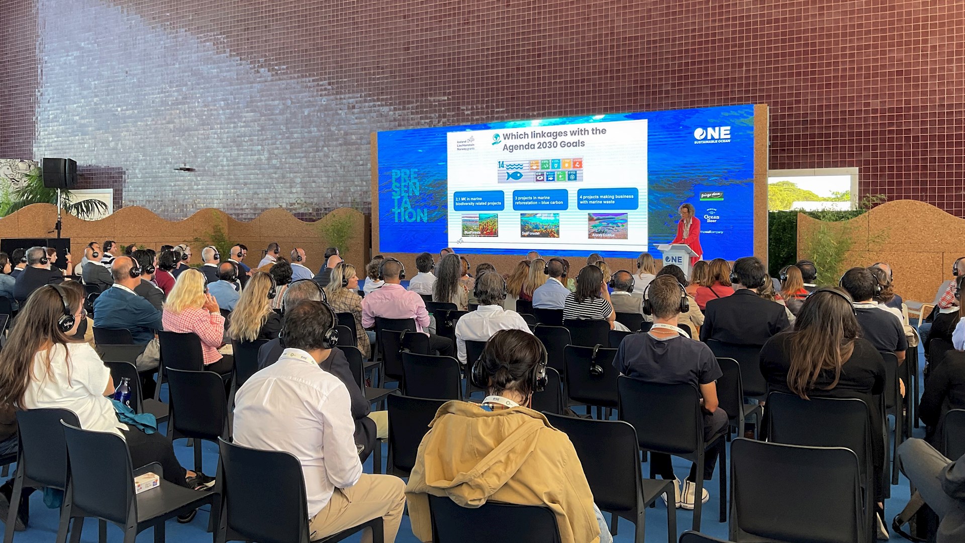 Blue Business and Innovation for a Sustainable Use of the Ocean