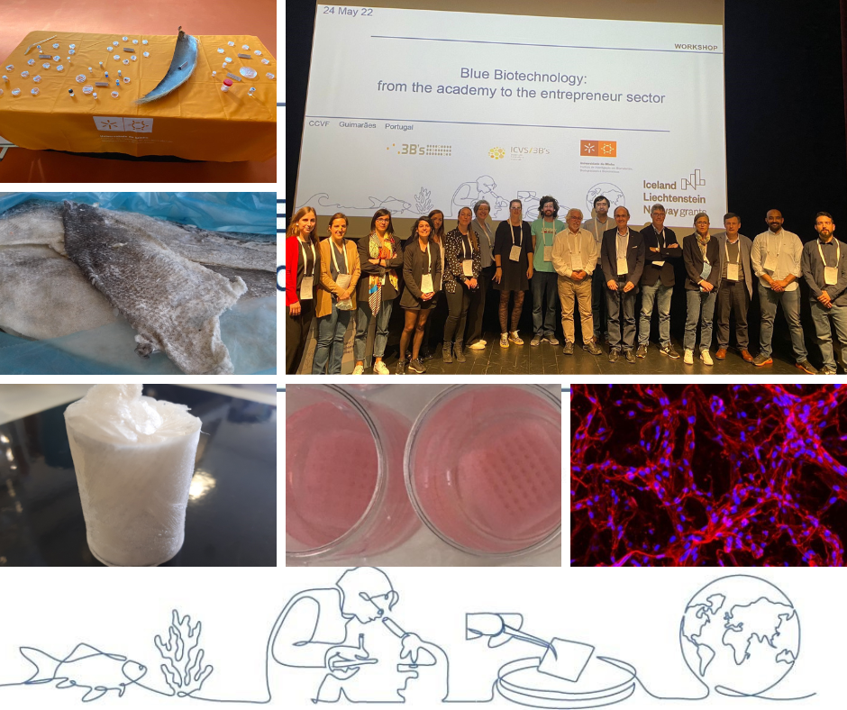 Iniciativa MICSeaOnMed: Investigação e desenvolvimento tecnológico junta Portugal e Islândia na valorização de subprodutos da indústria pesqueira para o setor da saúde