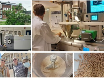Troca de conhecimentos entre Portugal e a Noruega sobre novas farinhas à base de plantas feitas com ingredientes portugueses 