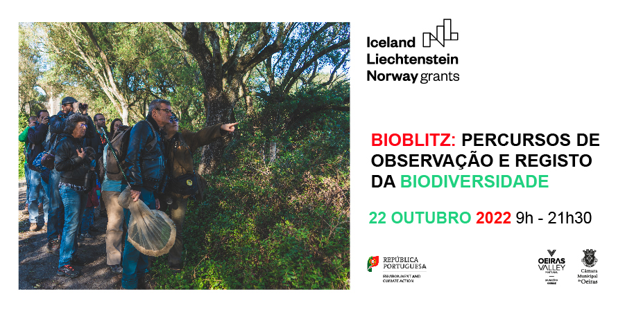 Bioblitz: Percursos de observação e registo da Biodiversidade