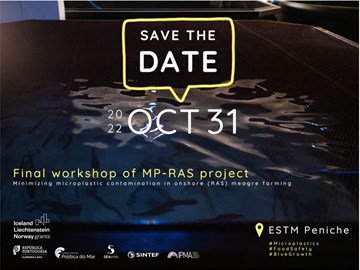 Workshop Final do projeto MP-RAS