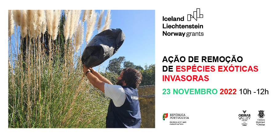 Ação de Voluntariado Ambiental