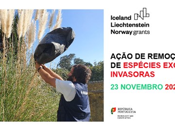 Ação de Voluntariado Ambiental