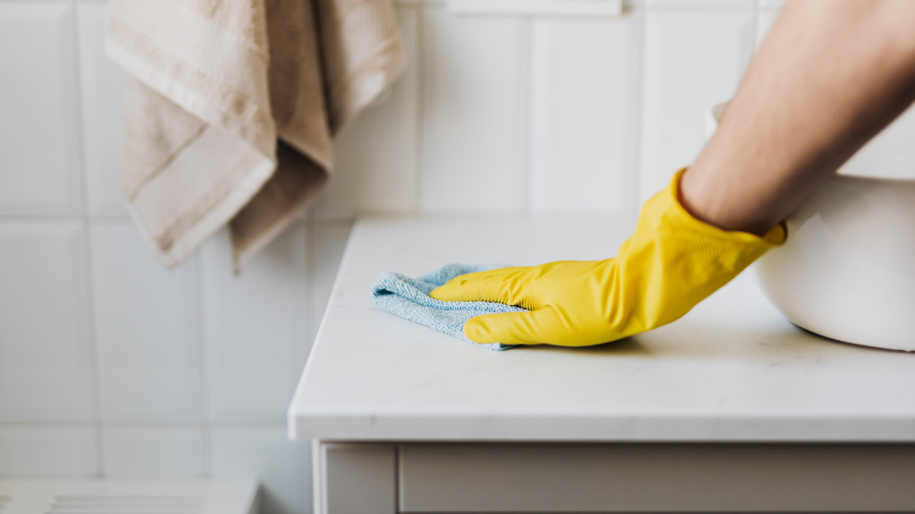 Serviço Doméstico Digno