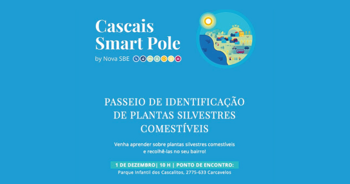 Passeio de Identificação de Plantas Silvestres Comestíveis